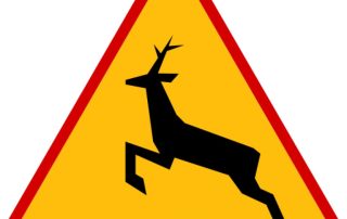 znak ostrzegawczy uwaga zwierzęta leśne